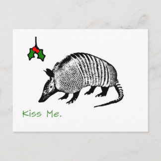Armadillo Kiss Me Postcard