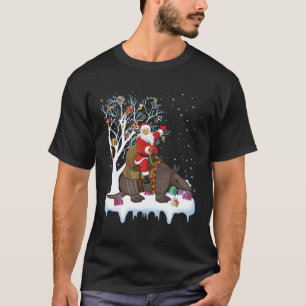 Armadillo Lover Xmas Gift Santa Riding Armadillo C T-Shirt
