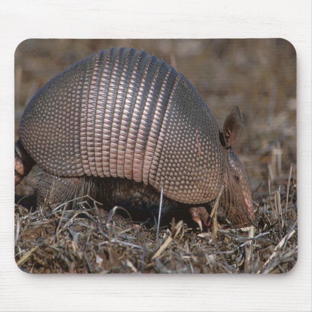 Armadillo Mousepad  (Front)