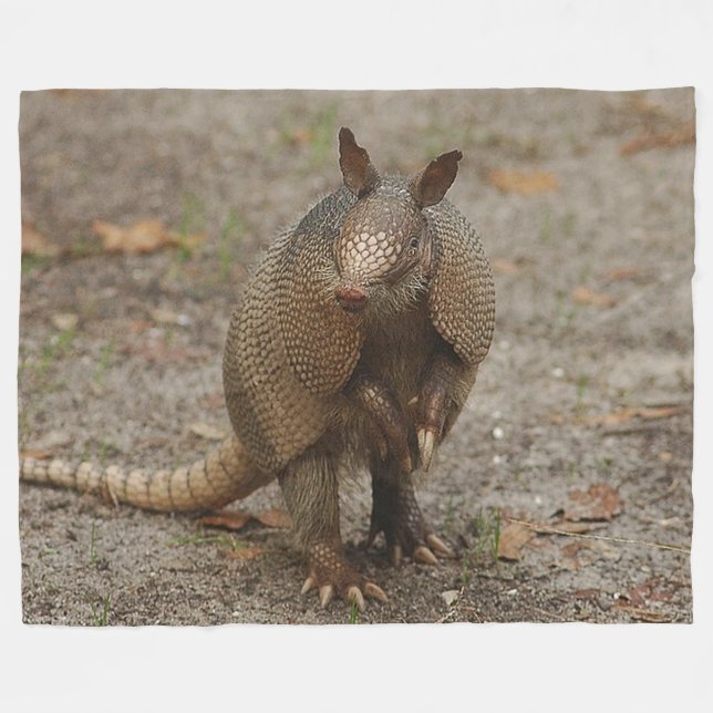Armadillo on Large Fleece Blanket (Front (Horizontal))