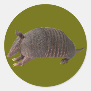 Armadillo plain classic round sticker