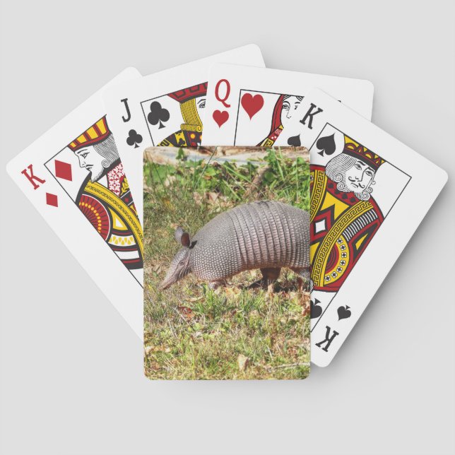 Armadillo Playing Cards (Back)
