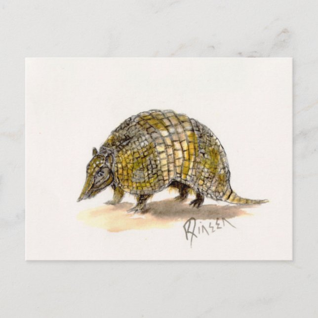 Armadillo Postcard (Front)