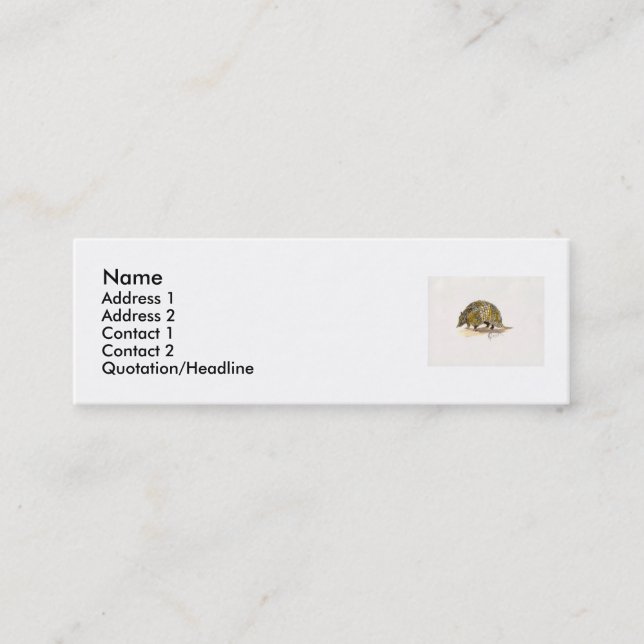 Armadillo profile/ business card (Front)
