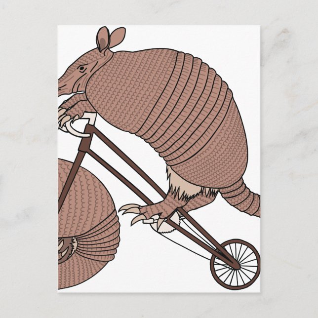 Armadillo Riding Bike With Armadillo Wheel Postcard (Front)