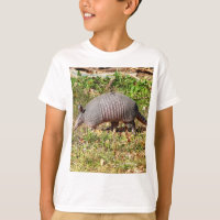 Armadillo