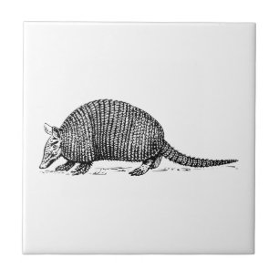 Armadillo Tile