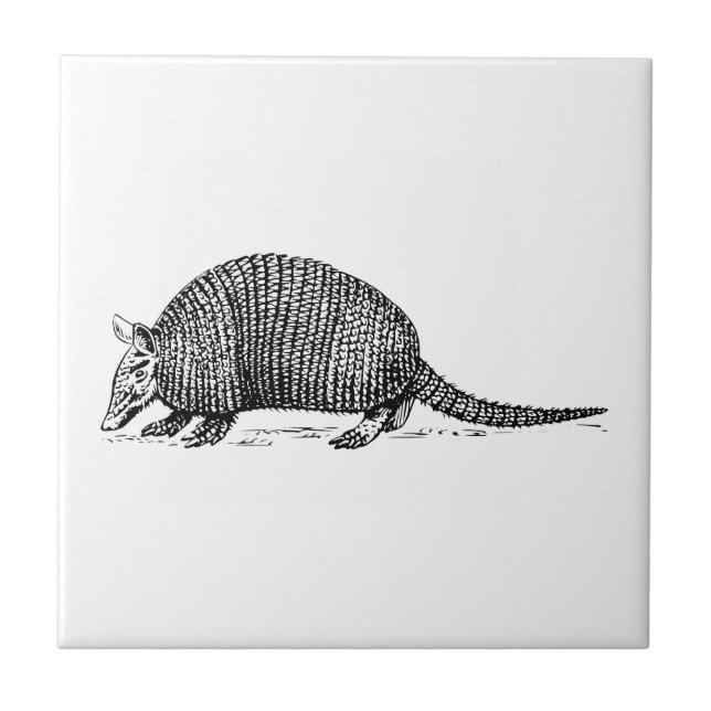 Armadillo Tile (Front)