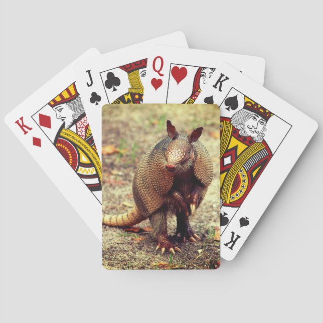 Armadillo wild animal playing cards (Back)