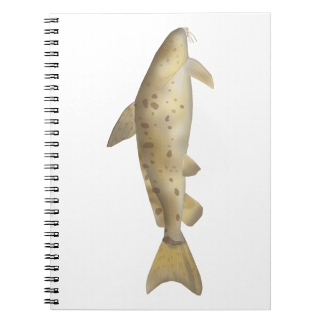 Armado Notebook (Front)