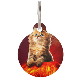 Armageddon cat pet tag