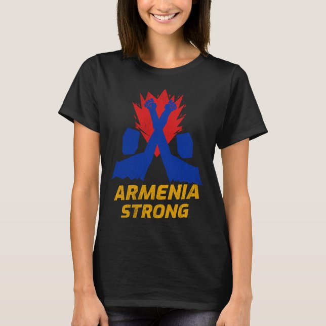 Armenia strong  vintage Defend Armenian community T-Shirt (Front)