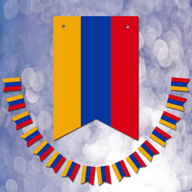 Armenian Flag & Party Armenia Banners / Weddings (Creator Uploaded)