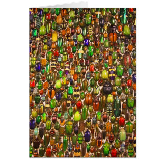 Army of Beetles and Bugs