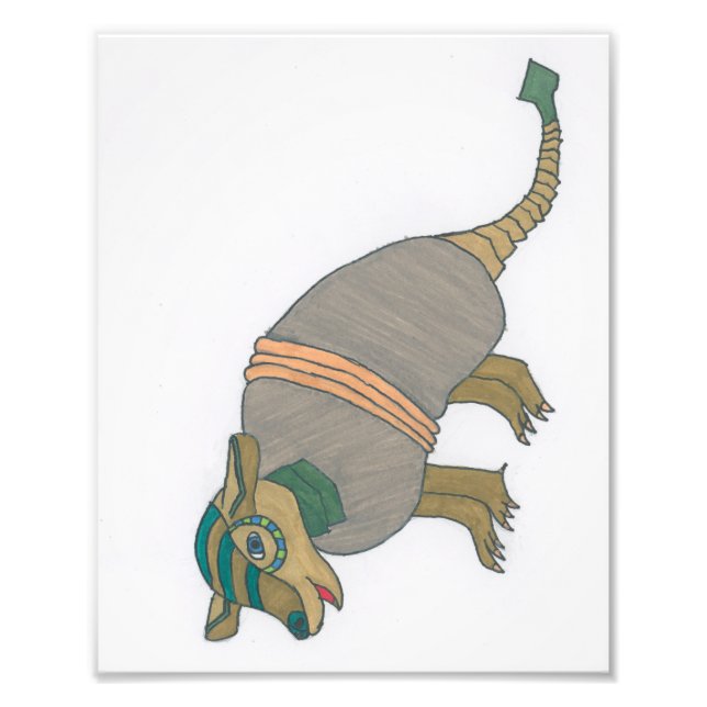Arnold the Armadillo print (Front)