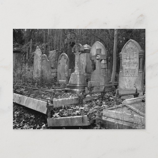 ArnosVale4 Postcard (Front)