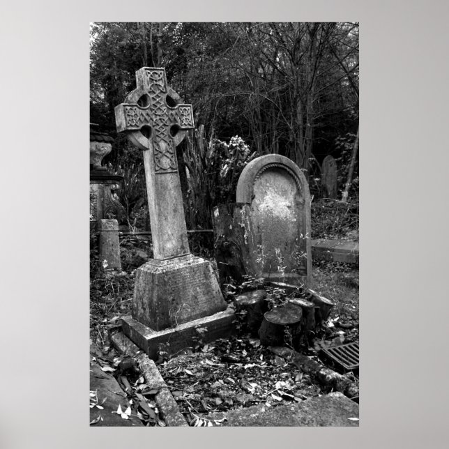 ArnosVale7 Poster (Front)