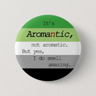 Aromantic/Aromatic Pin
