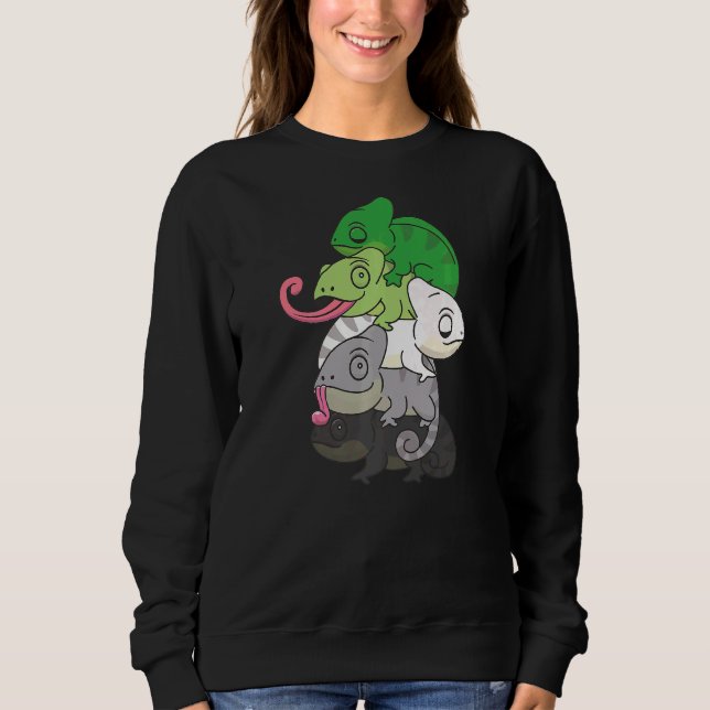 Aromantic Flag Gender Pride Lgbtq Chameleon   Sweatshirt (Front)