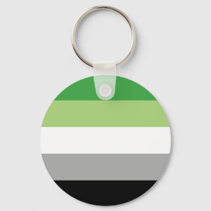 aromantic flag key ring