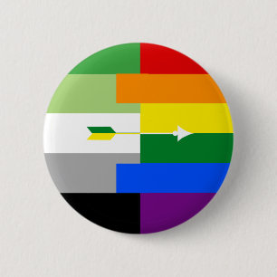 Aromantic Homosexual Pin