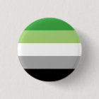 Aromantic Pride Button
