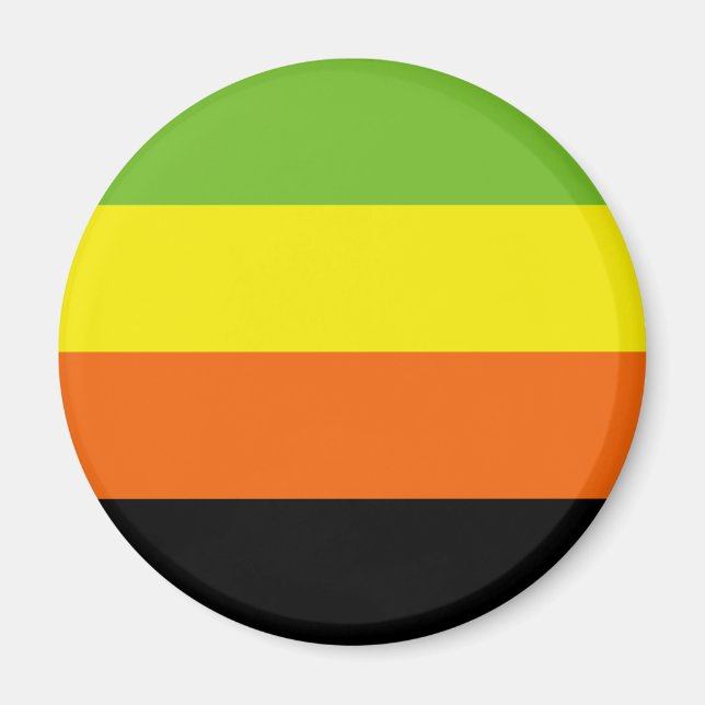 Aromantic Pride Flag Magnet (Front)