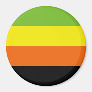 Aromantic Pride Flag Magnet