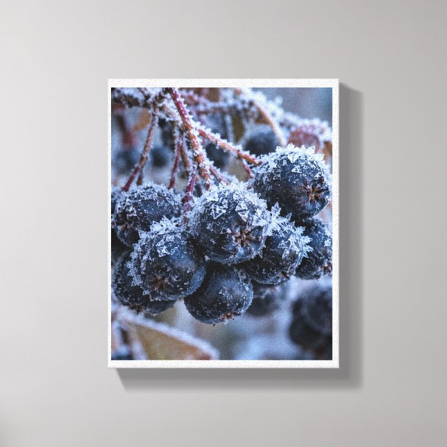 Aronia frost macro canvas print (Front)
