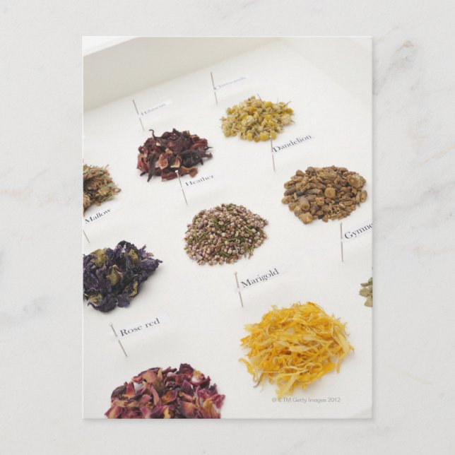 Arranged herbs postcard (Front)