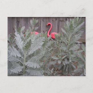 Arrangement in Gray and Pink Postcard