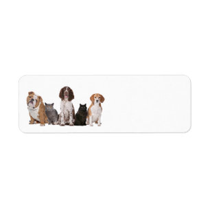 Array of dogs and cats background label