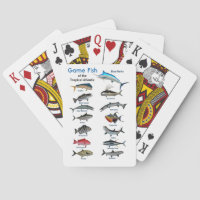 Array of tropical game fish of the Atlantic