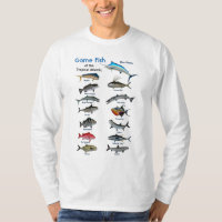 Array of tropical game fish of the Atlantic