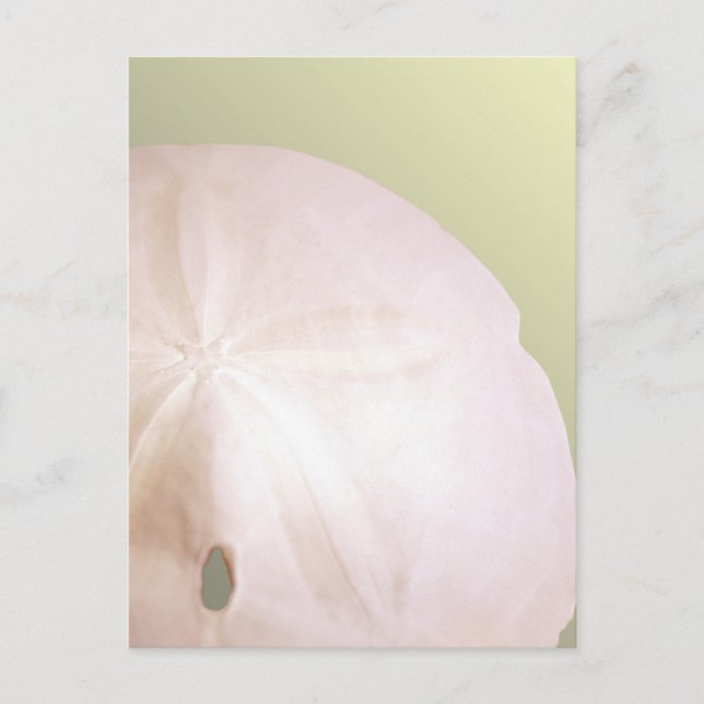 Arrowhead Postcard (Front)