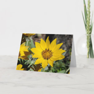 Arrowleaf Balsamroot Notecard