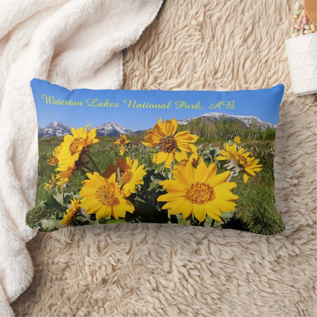 Arrowleaf Balsamroot Wildflower Lumbar Pillow (Blanket)