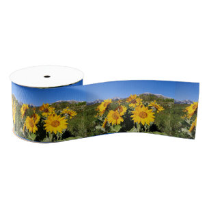 Arrowleaf Balsamroot Wildflower Ribbon Grosgrain Ribbon