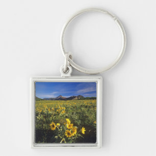 Arrowleaf balsomroot wildflowers in Waterton 2 Key Ring