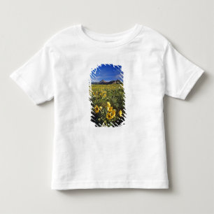 Arrowleaf balsomroot wildflowers in Waterton 2 Toddler T-Shirt