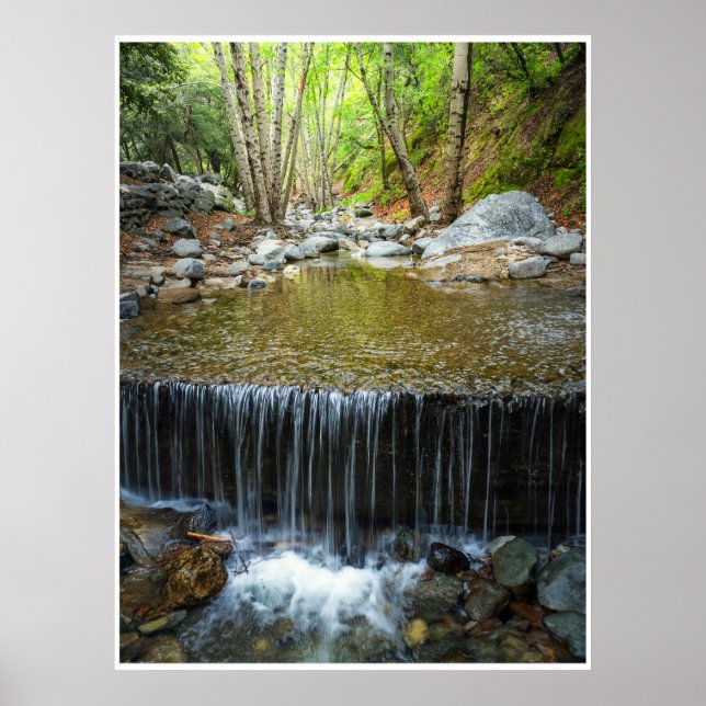 Arroyo Flow Poster (Front)