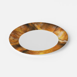 art abstract colourful background paper plate