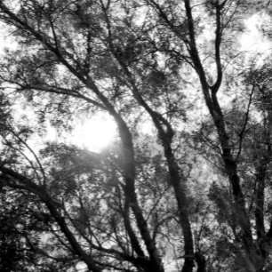 ART AND DESIGN Keychain