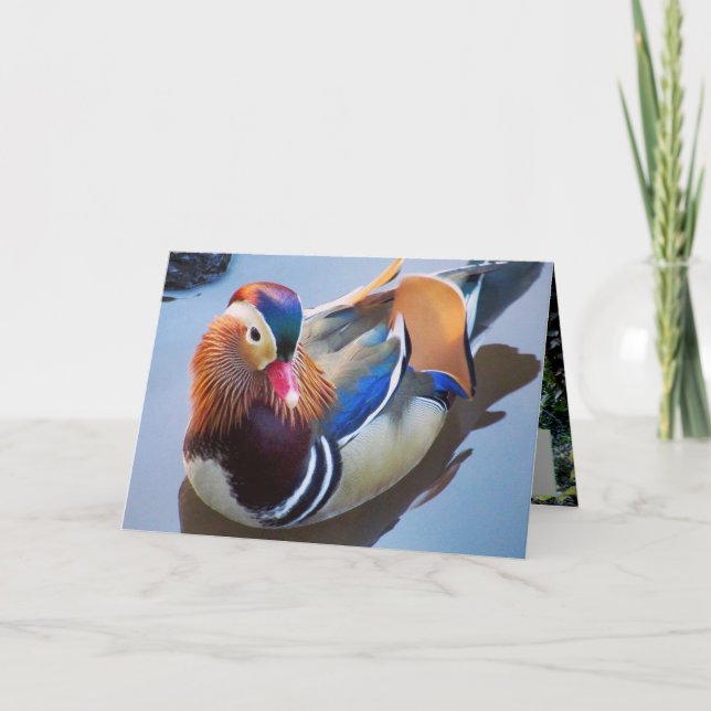 Art by Davey Mandarin Duck Card (Front)