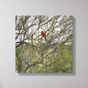 Art Canvas Cardinal