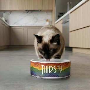 Art Deco Pride Flag   Rainbow Ceramic Pet Bowl