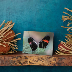 Art Decor Plaque-Butterfly Plaque