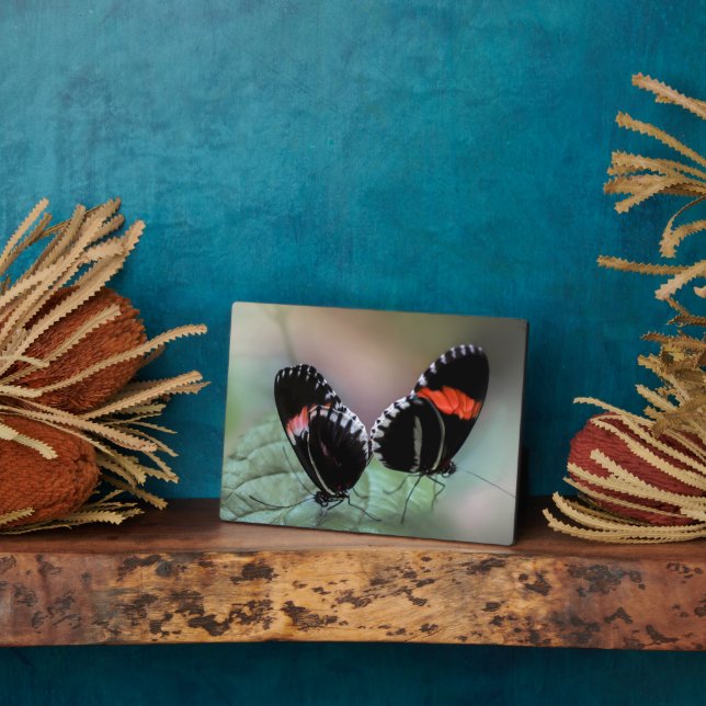 Art Decor Plaque-Butterfly Plaque (Side)