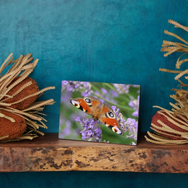 Art Decor Plaque-Butterfly Plaque (Side)