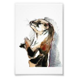 Art Drawing Otter    Cute Otter Gifts Photo Print